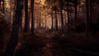 ¡Blair Witch funcionando con RayTracing da mucho más miedo!