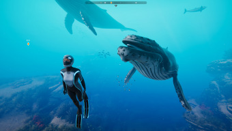 Explora las profundidades marinas en Beyond Blue, el juego que te invita a conocer más sobre las ballenas