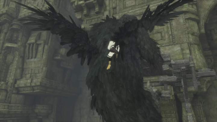 The Last Guardian