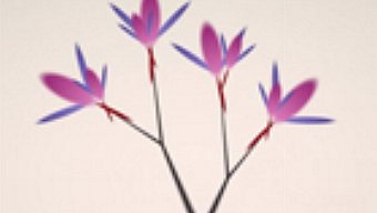 Eufloria también se lanzará en PS Vita