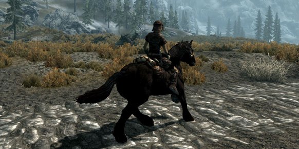 The Elder Scrolls V Skyrim