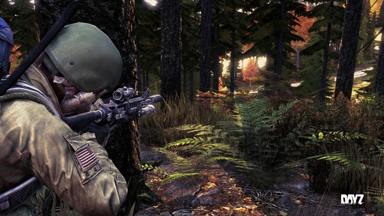 DayZ DayZ
