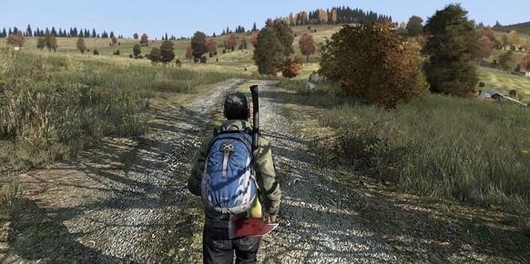 DayZ DayZ
