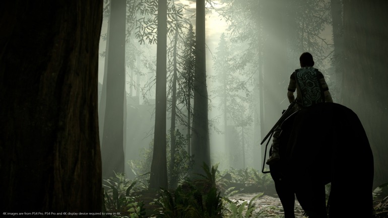 Imagen de PlayStation Network Imagen de PlayStation Network