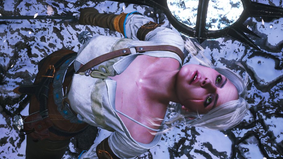The Witcher 3 Wild Hunt PC