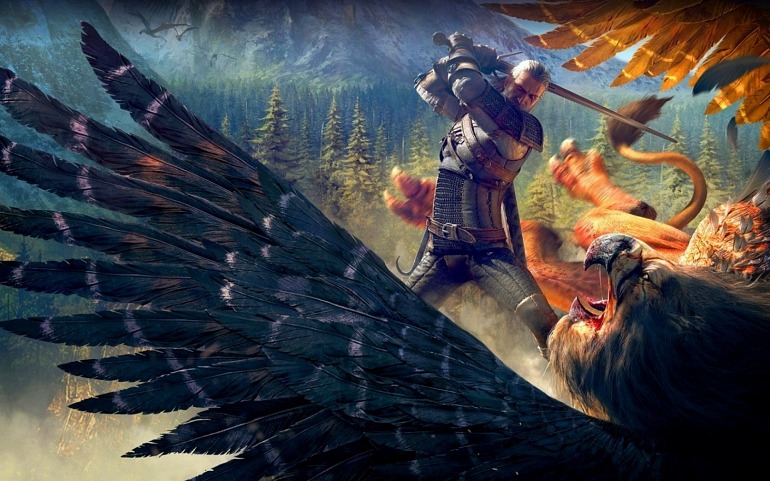 The Witcher The Witcher