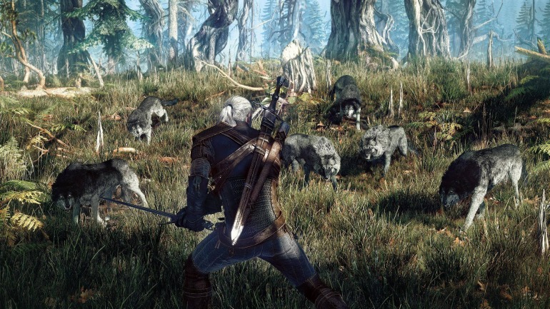 The Witcher 3: Wild Hunt The Witcher 3: Wild Hunt