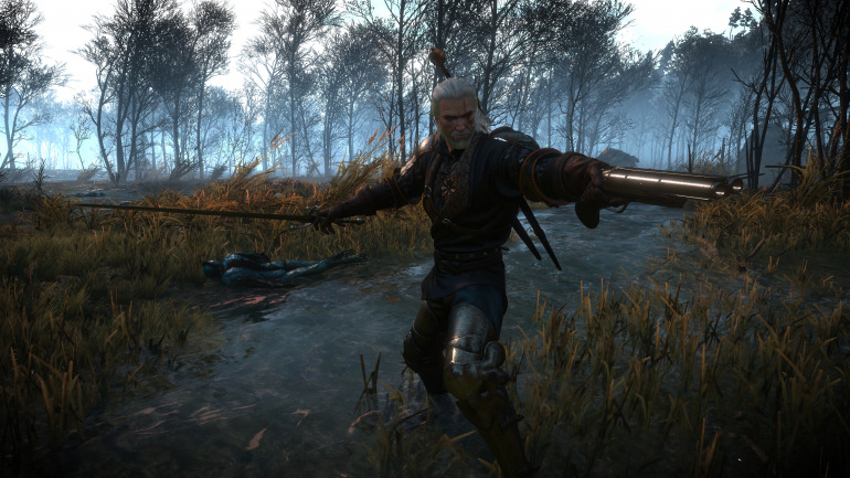 The Witcher 3: Wild Hunt The Witcher 3: Wild Hunt